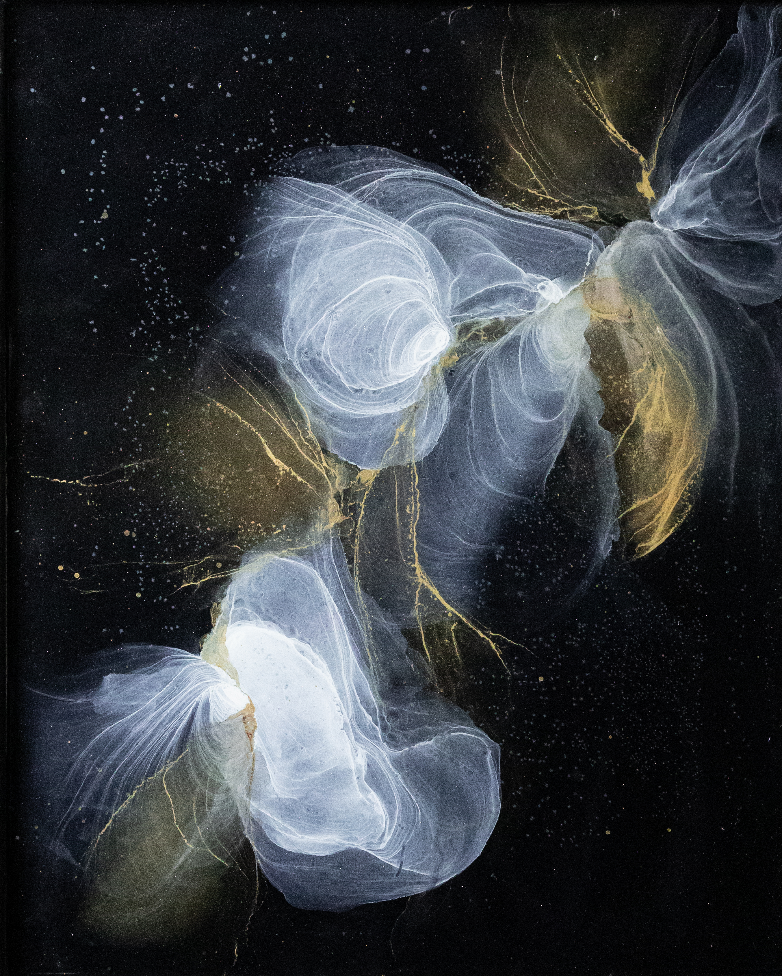 Stardust