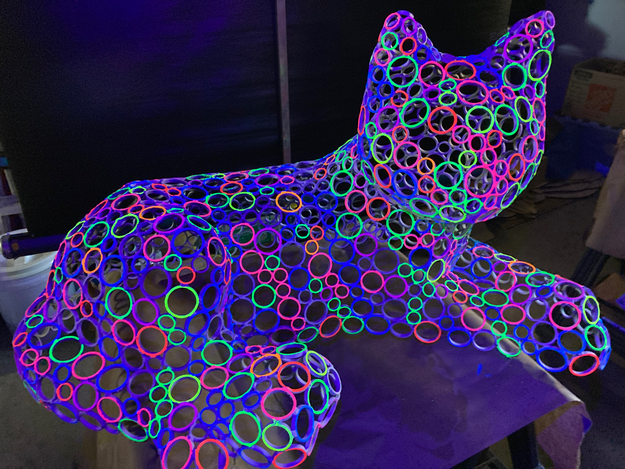 Glow Cat